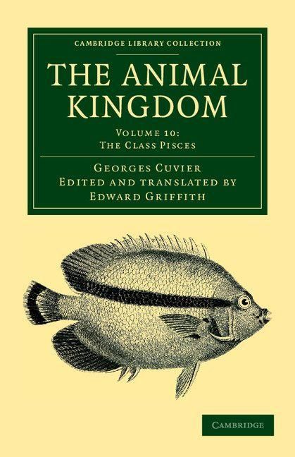 Produktbild: The Animal Kingdom - Volume 10