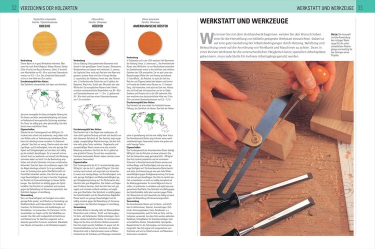 Produktbild: Handbuch Holz