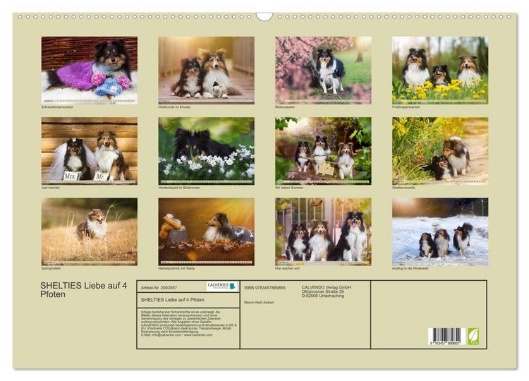 Produktbild: SHELTIES Liebe auf 4 Pfoten (Wandkalender 2026 DIN A2 quer), CALVENDO Monatskalender