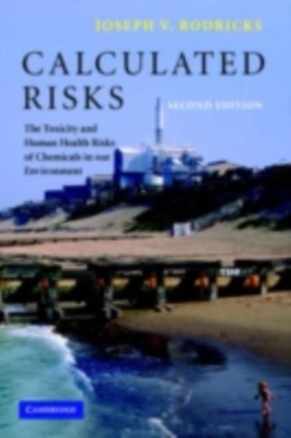 Produktbild: Calculated Risks