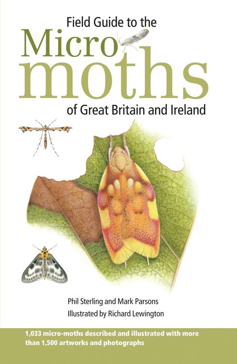 Produktbild: Sterling, P: Field Guide to the Micro-Moths of Great Britain