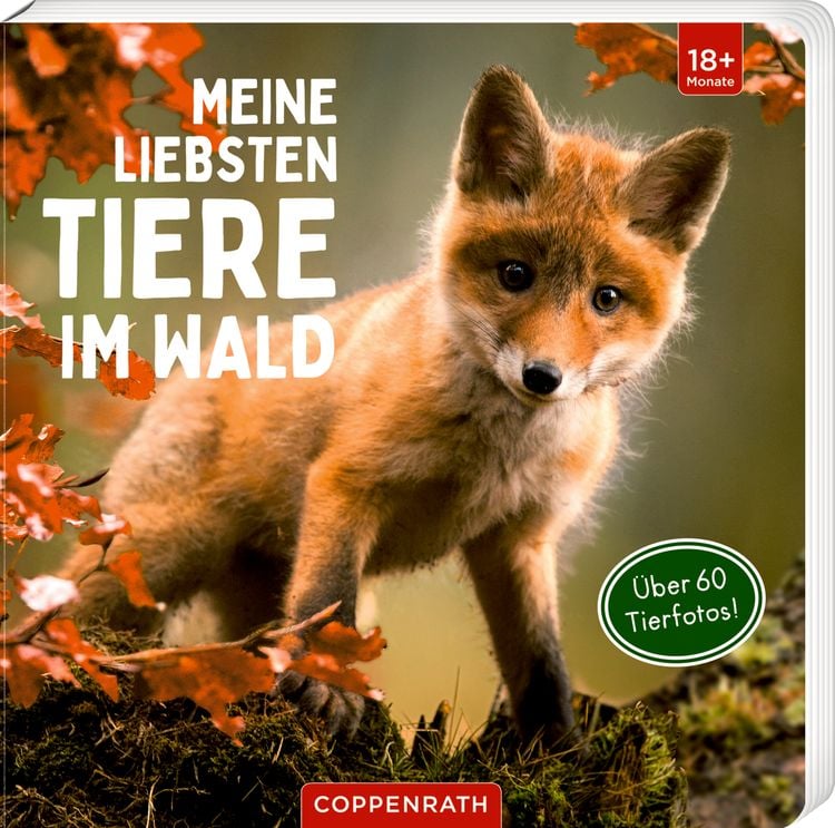 Produktbild: Meine liebsten Tiere im Wald