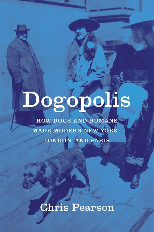 Produktbild: Dogopolis