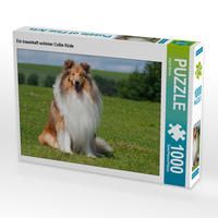 Produktbild: CALVENDO Puzzle Ein traumhaft sch&ouml;ner Collie R&uuml;de 1000 Teile Lege-Gr&ouml;&szlig;e 64 x 48 cm Foto-Puzzle Bild von Sigrid Starick