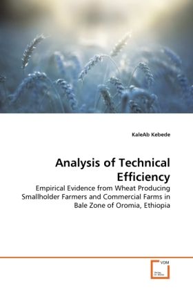 Produktbild: Kebede, K: Analysis Of Technical Efficiency