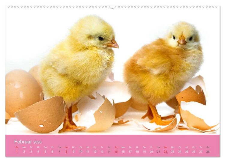 Produktbild: S&uuml;&szlig;e Tier-Babys! (hochwertiger Premium Wandkalender 2026 DIN A2 quer), Kunstdruck in Hochglanz