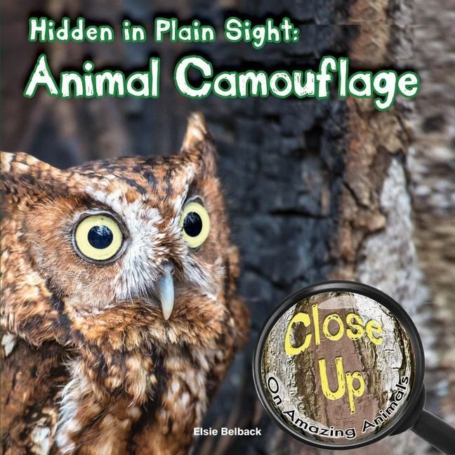Produktbild: Hidden in Plain Sight