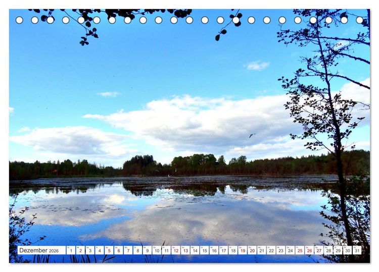 Produktbild: Gr&uuml;nes Estland - Naturparadies am Baltischen Meer (Tischkalender 2026 DIN A5 quer), CALVENDO Monatskalender