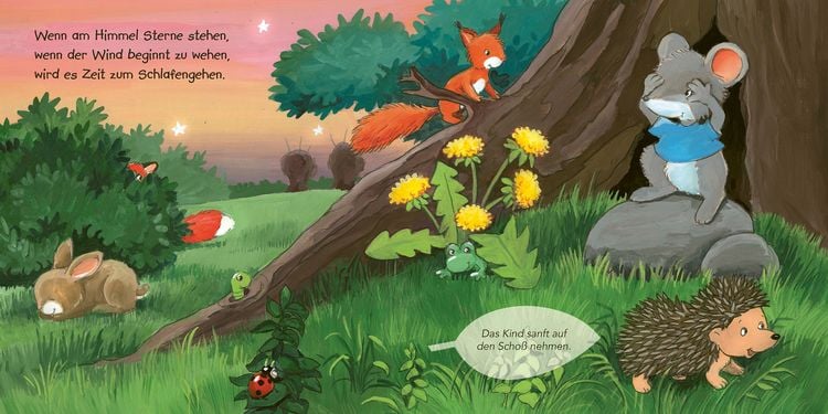 Produktbild: Wenn am Himmel Sterne stehen