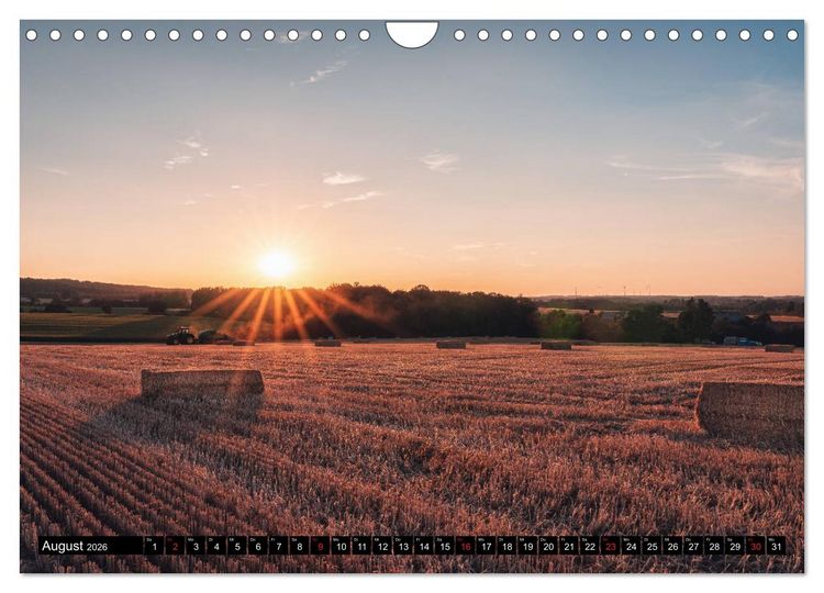 Produktbild: Das M&uuml;nsterland - Meine Impressionen (Wandkalender 2026 DIN A4 quer), CALVENDO Monatskalender