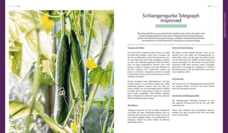 Produktbild: Von der gr&uuml;nen Wiese zum Selbstversorgergarten &ndash; biologisch g&auml;rtnern