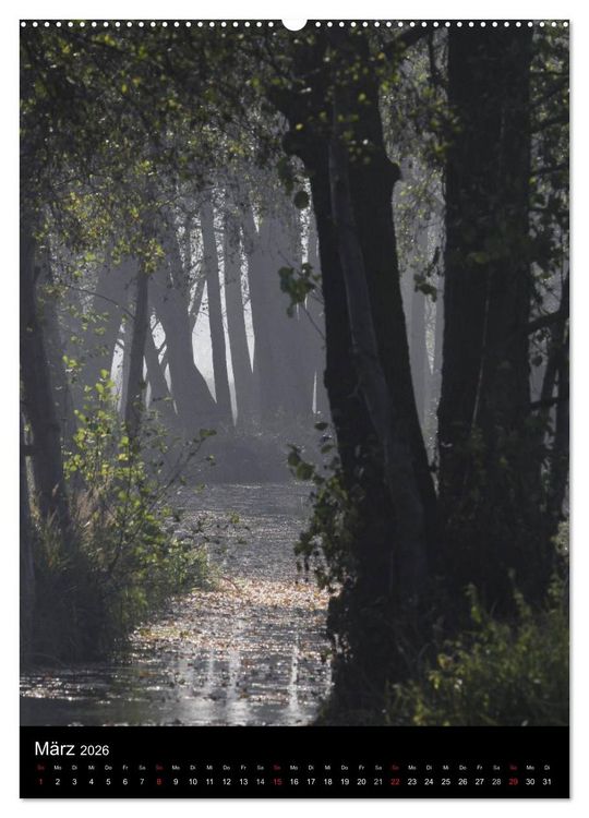 Produktbild: Wunderbarer Spreewald (hochwertiger Premium Wandkalender 2026 DIN A2 hoch), Kunstdruck in Hochglanz