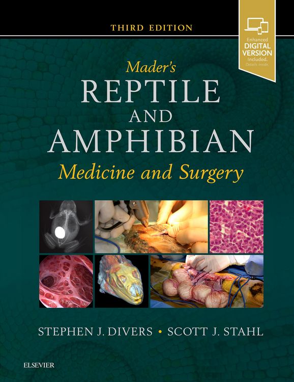 Produktbild: Mader's Reptile and Amphibian Medicine and Surgery- E-Book