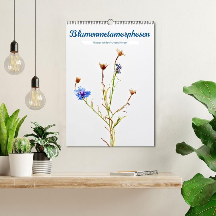 Produktbild: Blumenmetamorphosen (Wandkalender 2026 DIN A3 hoch), CALVENDO Monatskalender