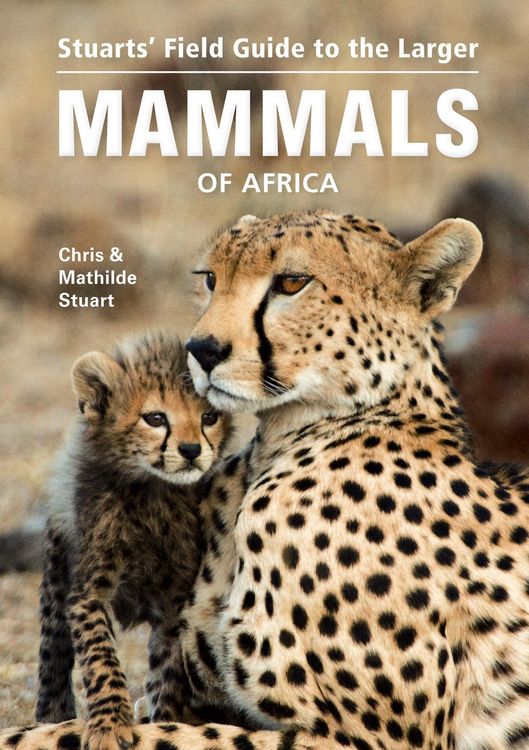 Produktbild: Stuarts' Field Guide to the Larger Mammals of Africa
