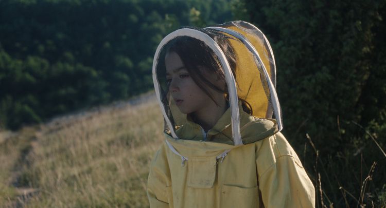Produktbild: 20.000 Arten von Bienen