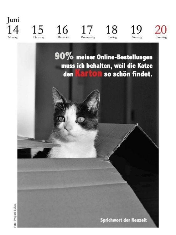 Produktbild: Der literarische Katzenkalender 2027