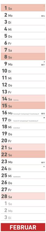 Superplaner 2026 - Streifenkalender 17x85 cm - mit Ringbindung - viel Platz für Notizen - Langplaner - Wandkalender - Küchenkalender - Alpha Edition