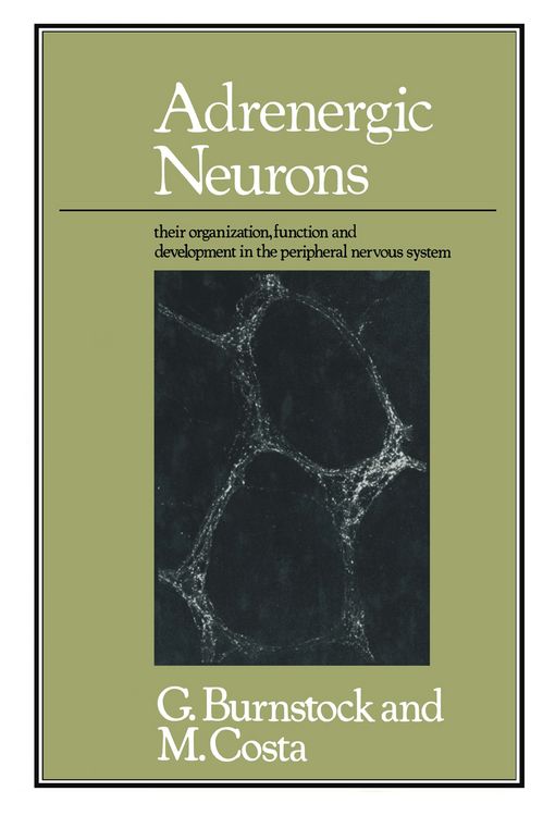 Produktbild: Adrenergic Neurons