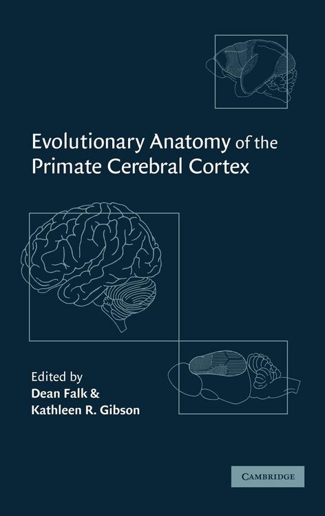 Produktbild: Evolutionary Anatomy of the Primate Cerebral Cortex
