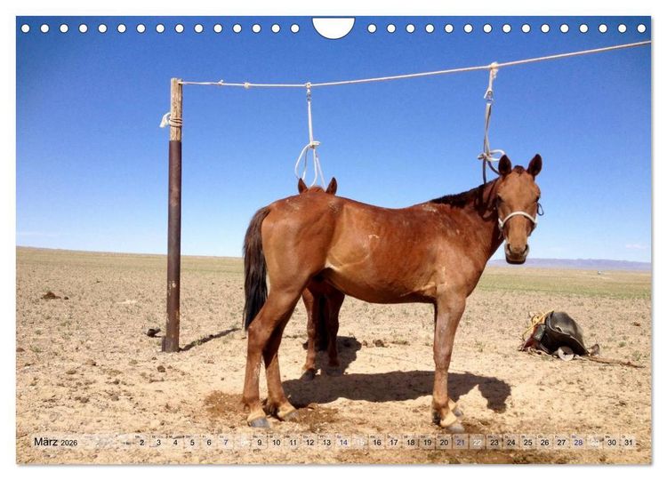 Produktbild: Pferde und Reiter der Mongolei (Wandkalender 2026 DIN A4 quer), CALVENDO Monatskalender
