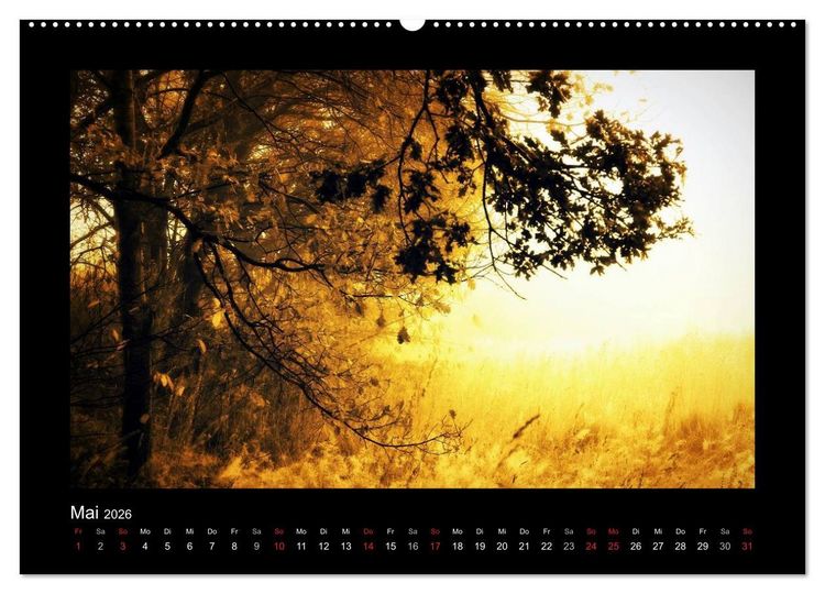 Produktbild: Landschaft Teufelsmoor / 2026 (Wandkalender 2026 DIN A2 quer), CALVENDO Monatskalender