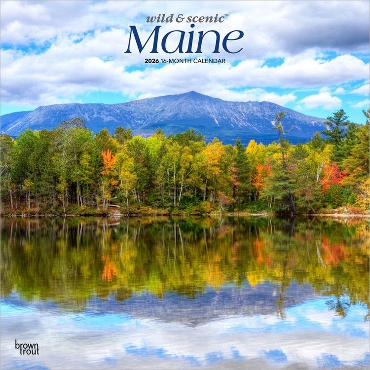 Produktbild: Maine Wild & Scenic 2026 12 X 24 Inch (Hanging) Monthly Square Wall Calendar Plastic-Free