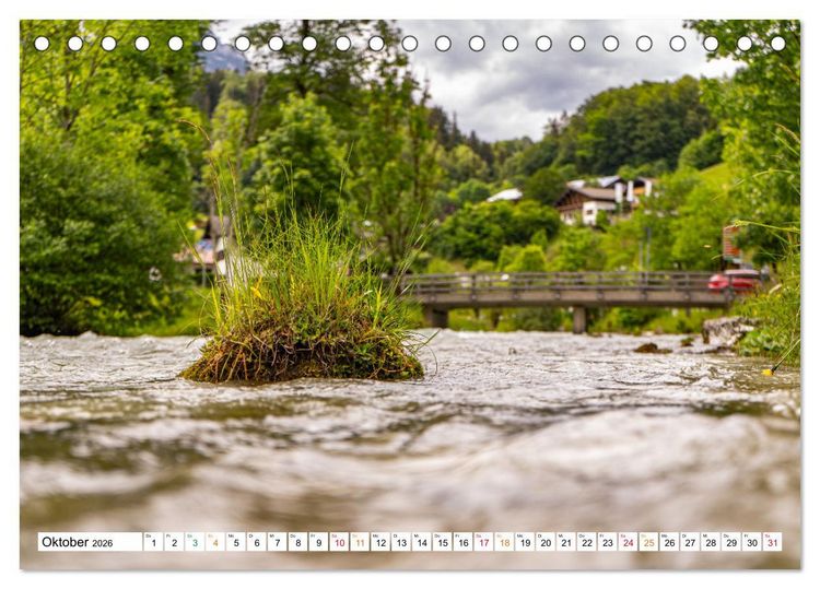 Produktbild: Natur hautnah Kalender (Tischkalender 2026 DIN A5 quer), CALVENDO Monatskalender