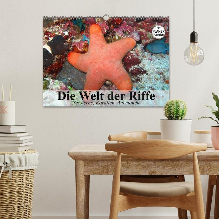 Produktbild: Die Welt der Riffe. Seesterne, Korallen, Anemonen (Wandkalender 2026 DIN A3 quer), CALVENDO Monatskalender