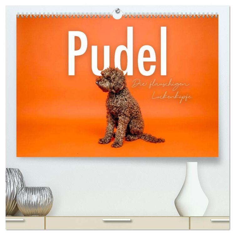 Produktbild: Pudel - Die flauschigen Lockenk&ouml;pfe. (hochwertiger Premium Wandkalender 2026 DIN A2 quer), Kunstdruck in Hochglanz