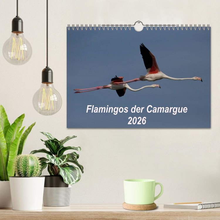 Produktbild: Flamingos der Camargue 2026 (Wandkalender 2026 DIN A4 quer), CALVENDO Monatskalender