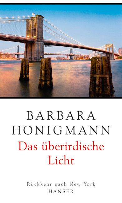Produktbild: Das &uuml;berirdische Licht