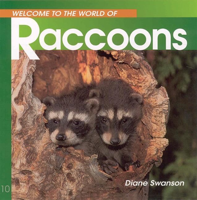 Produktbild: Welcome to the World of Raccoons