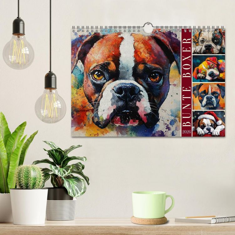 Produktbild: Bunte Boxer (Wandkalender 2026 DIN A4 quer), CALVENDO Monatskalender