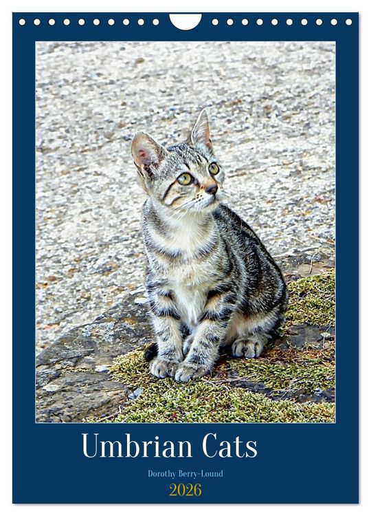 Produktbild: Umbrian Cats (Wall Calendar 2026 DIN A4 portrait), CALVENDO 12 Month Wall Calendar