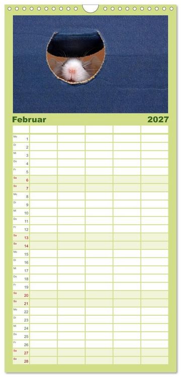 Produktbild: Familienplaner 2027 - S&uuml;&szlig;e M&auml;use und Coole Ratten mit 5 Spalten (Wandkalender, 21 x 45 cm) CALVENDO