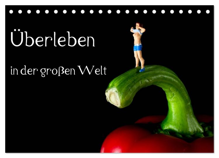 Produktbild: &Uuml;berleben in der gro&szlig;en Welt - HO Figuren (Tischkalender 2026 DIN A5 quer), CALVENDO Monatskalender