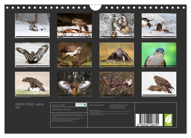 Produktbild: GREIFV&Ouml;GEL wild & frei (Wandkalender 2026 DIN A4 quer), CALVENDO Monatskalender
