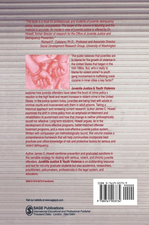 Produktbild: Juvenile Justice and Youth Violence