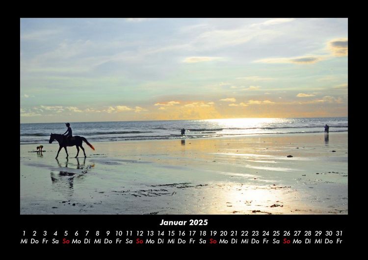 Produktbild: Pferde Kalender 2025 Fotokalender DIN A3