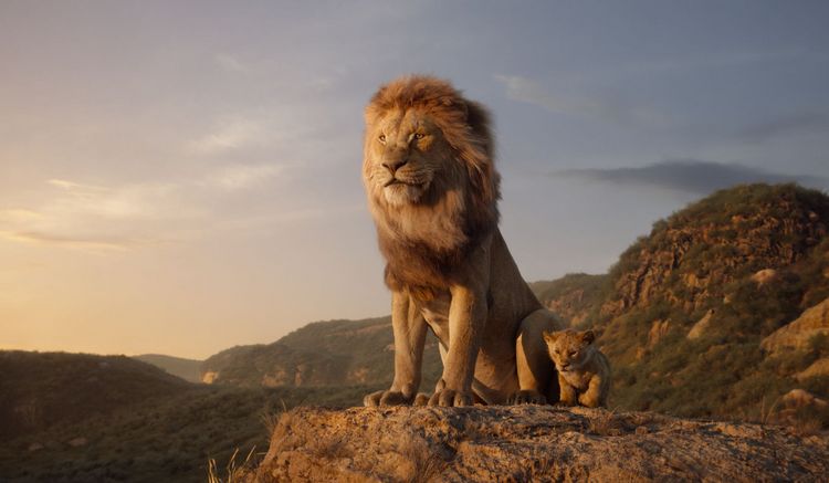 Produktbild: Der K&ouml;nig der L&ouml;wen