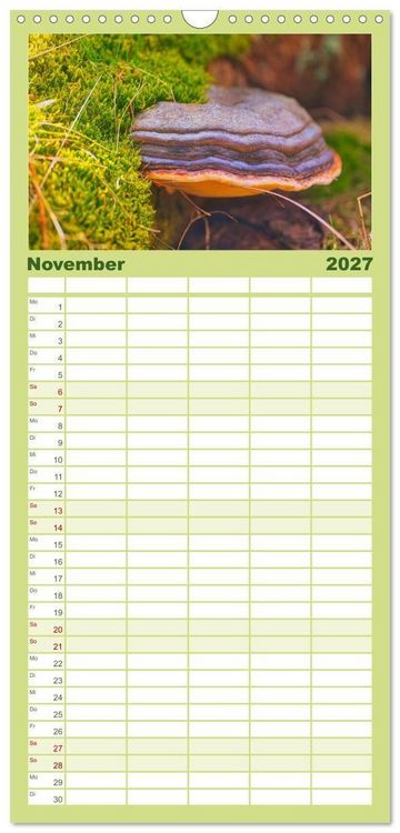 Produktbild: Familienplaner 2027 - Vielfalt am Waldboden mit 5 Spalten (Wandkalender, 21 x 45 cm) CALVENDO