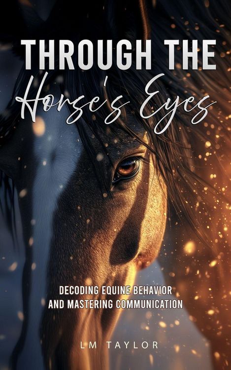 Produktbild: Through the Horse's Eyes, For Beginners