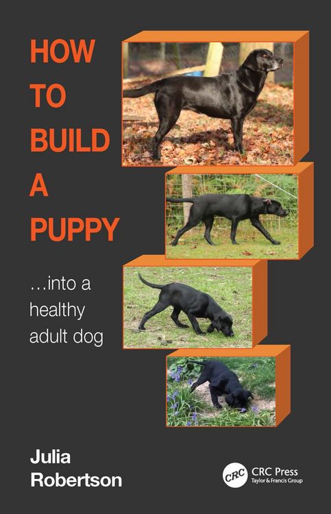 Produktbild: How to Build a Puppy