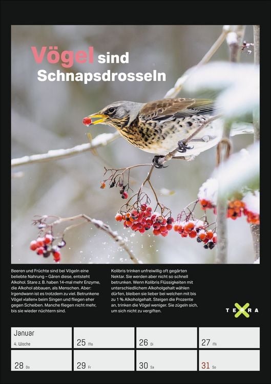 Produktbild: Terra X &ndash; Das Wunder Erde Wochenplaner 2027