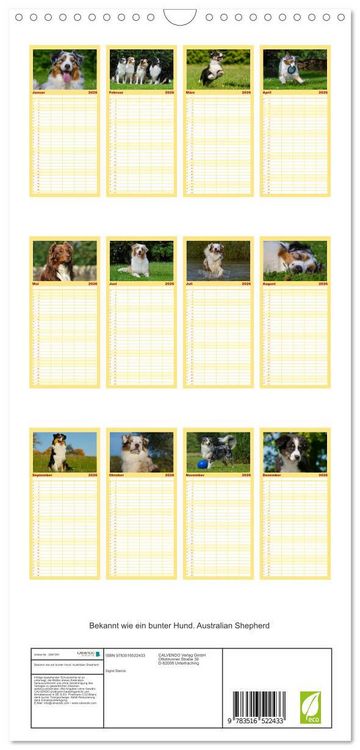 Produktbild: Familienplaner 2026 - Bekannt wie ein bunter Hund. Australian Shepherd mit 5 Spalten (Wandkalender, 21 x 45 cm) CALVENDO