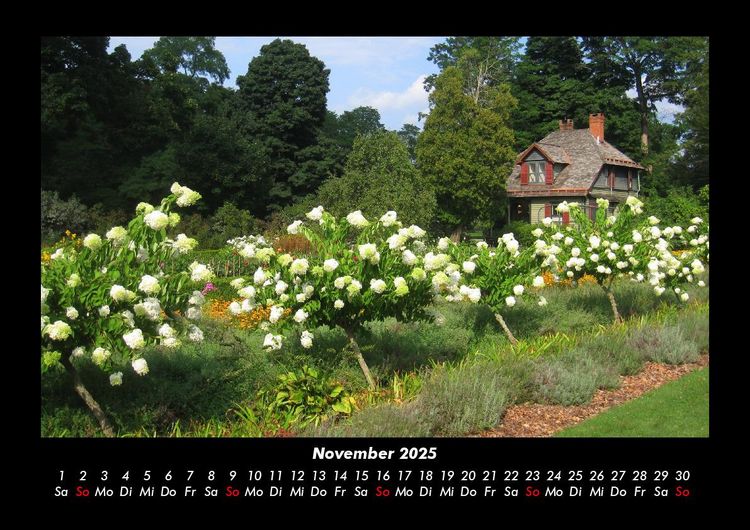 Produktbild: Blumenkalender 2025 Fotokalender DIN A3