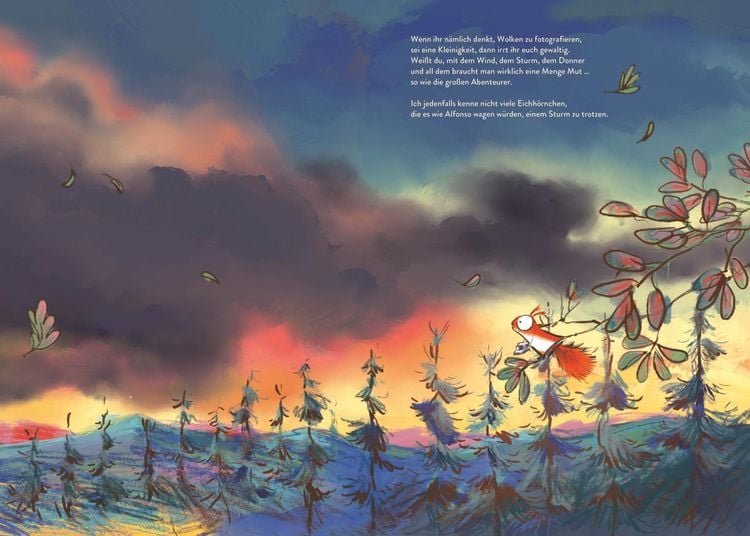 Produktbild: Alfonso und die Wolken