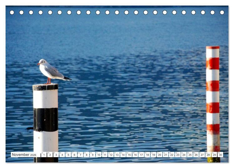 Produktbild: Traumkulisse Gardasee (Tischkalender 2026 DIN A5 quer), CALVENDO Monatskalender