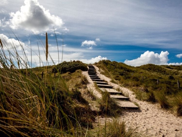 Produktbild: CALVENDO Puzzle Strandgras, Treppe in die D&uuml;nen | 1000 Teile Lege-Gr&ouml;&szlig;e 64x48cm Foto-Puzzle f&uuml;r gl&uuml;ckliche Stunden